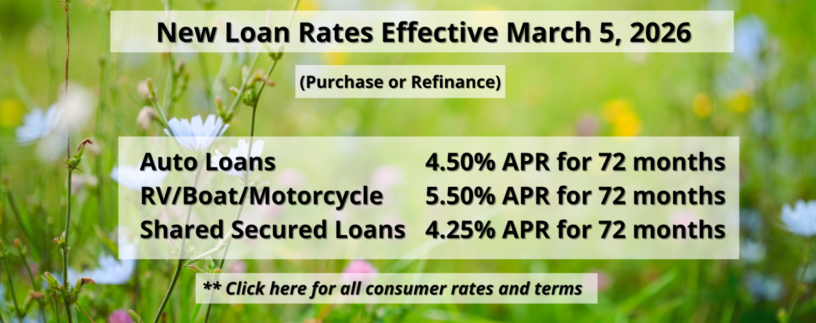 March 2026 rates: Auto loans 4.5% APR for 72 months, RV/Boat/Motorcycle 5.50% APR for 72 months, Share Secured Loans 4.25% APR for 72 months