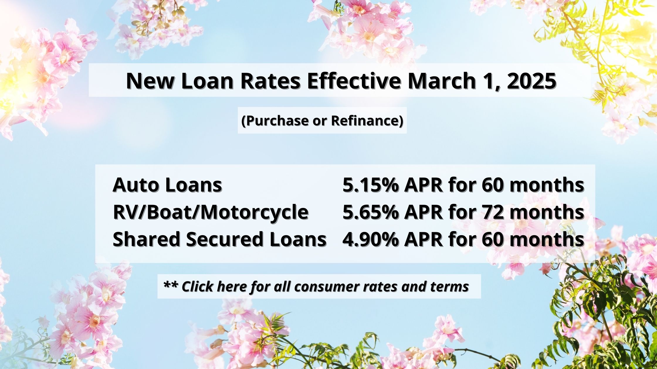 March 2025 Rates