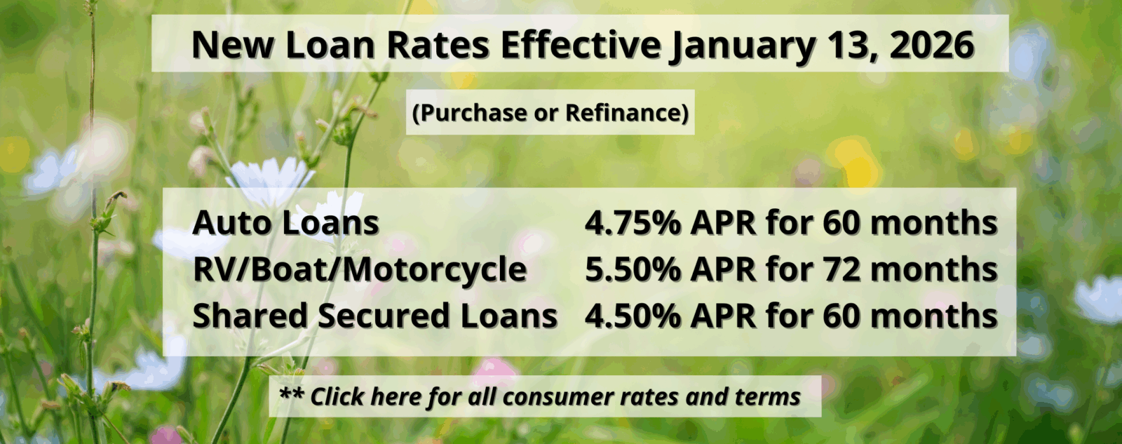Loan Rates_Jan 2026